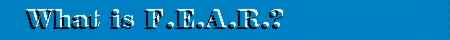 What is F.E.A.R.?