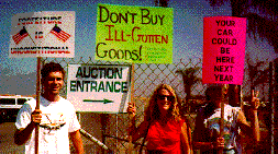 Photo:  Judy Osburn  friends at auction action
